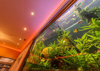 Forum Étterem | Szombathely legnagyobb akváriuma